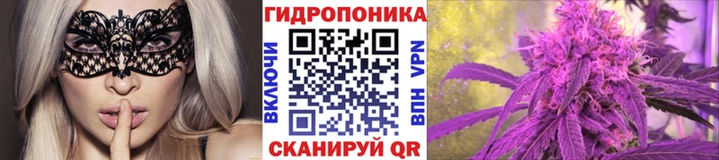 omg как зайти  Данилов  Марихуана OG Kush 